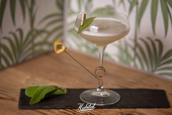 Habitat drink and more